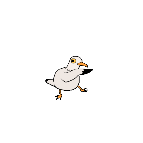 Gordita Seagull Meme